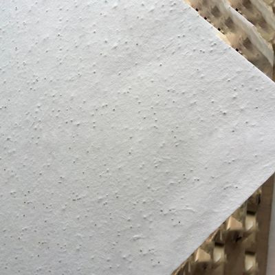 ورق البذور المعاد تدويرها الذي ينمو